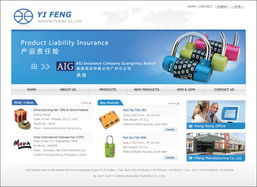 網(wǎng)站設(shè)計與軟件開發(fā) 雙翼齊飛，共創(chuàng)數(shù)字未來